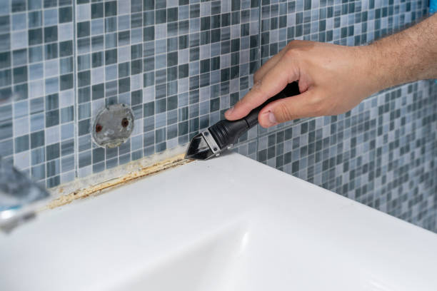 Best Health and Safety Mold Remediation in Mec, CA