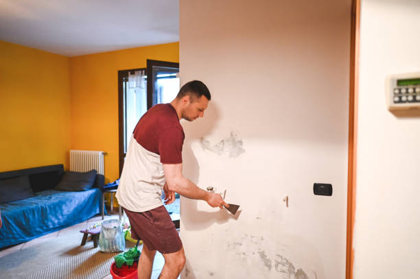 Best Insurance-Related Mold Remediation in Mec, CA